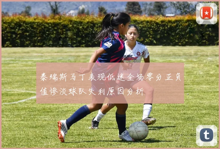 泰瑞斯马丁表现低迷全场零分正负值惨淡球队失利原因分析
