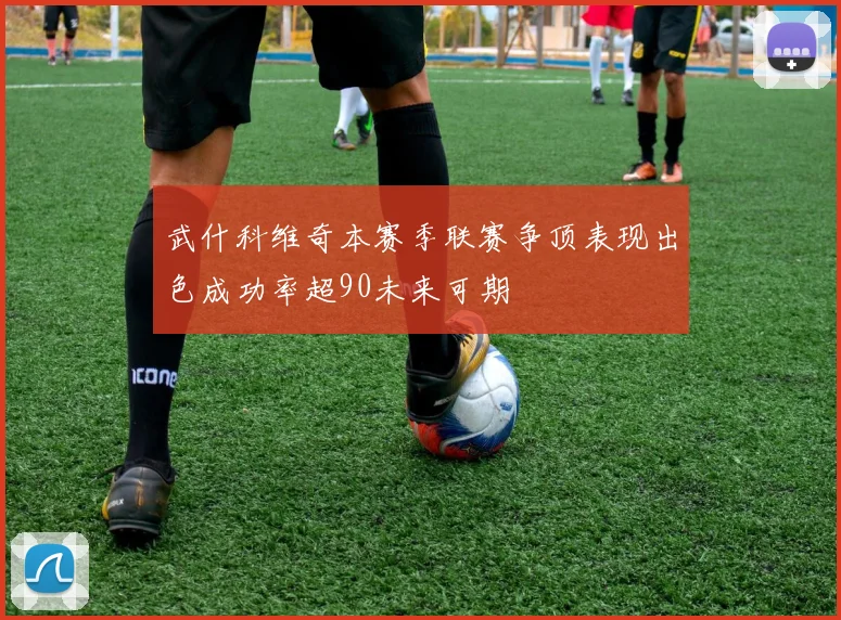 武什科维奇本赛季联赛争顶表现出色成功率超90未来可期