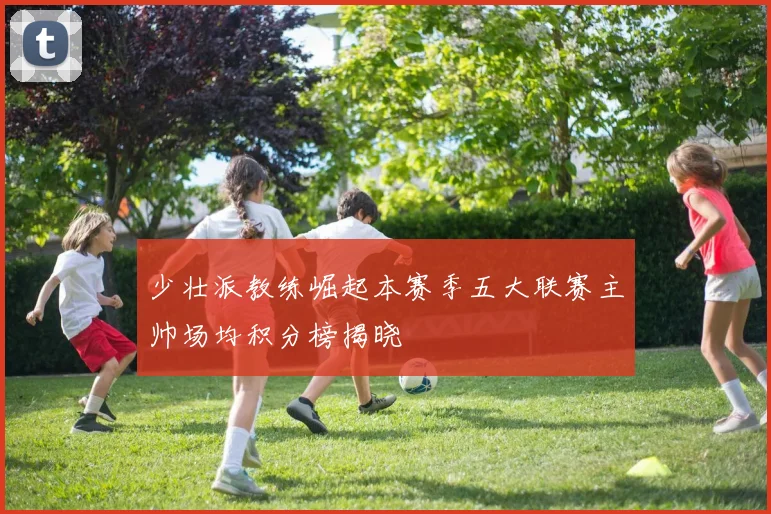 少壮派教练崛起本赛季五大联赛主帅场均积分榜揭晓