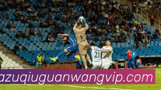 沙巴体育平台生态图