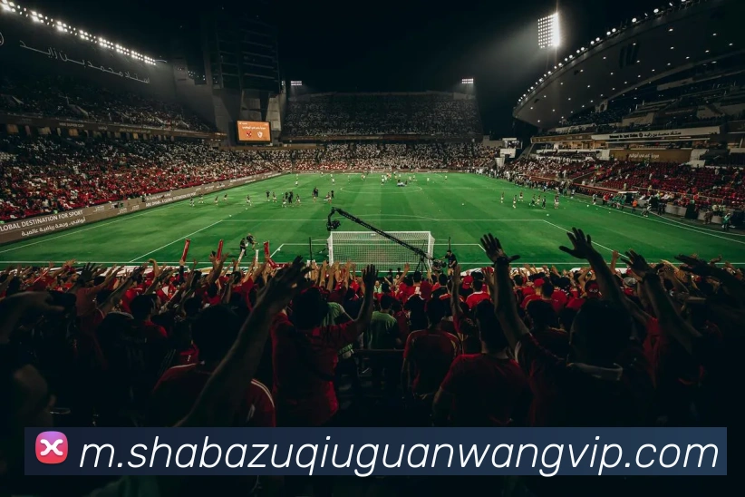 沙巴体育APP 封面图